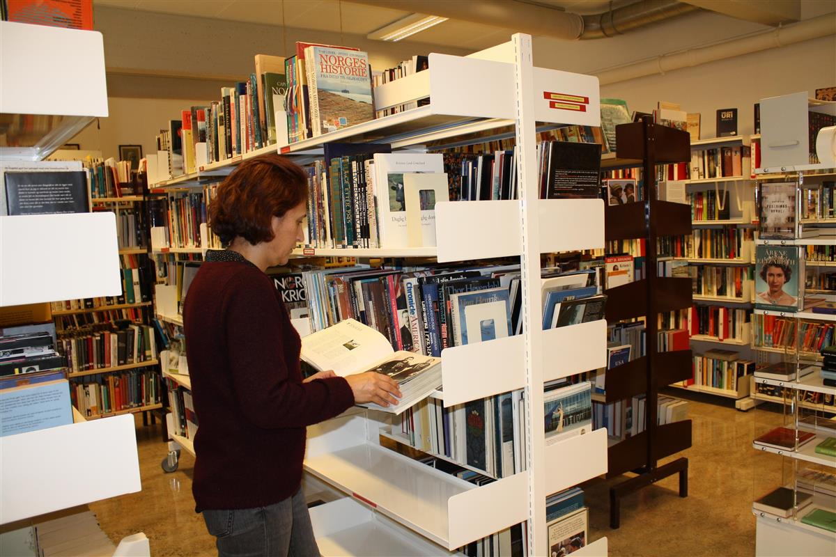Bibliotekaren ved en bokreol - Klikk for stort bilde
